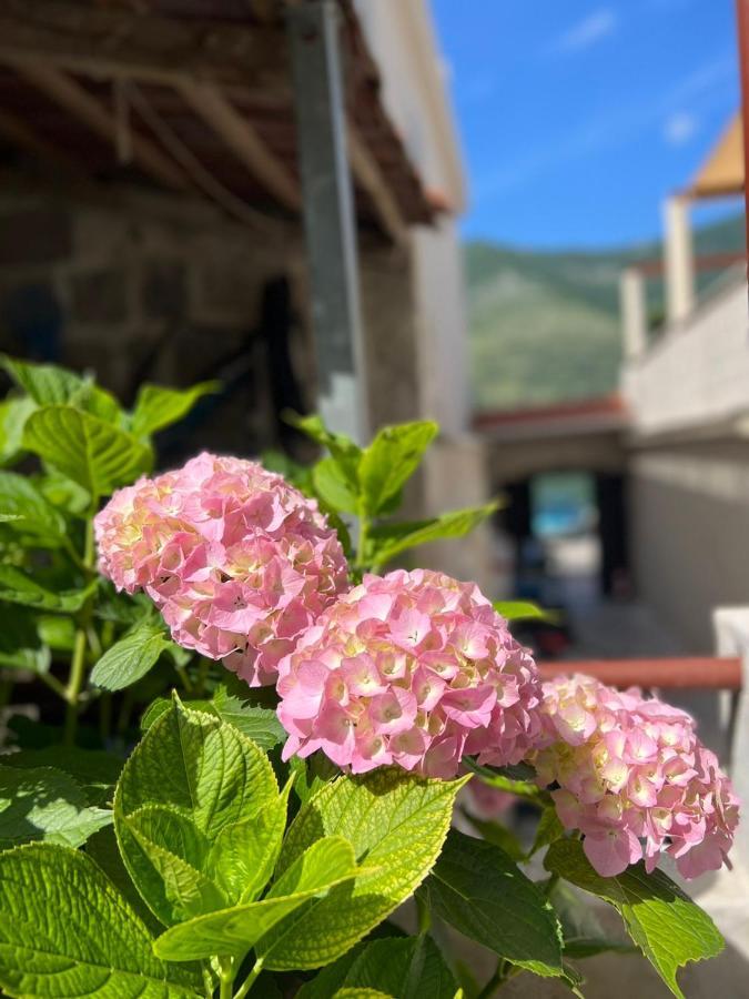 Sea Front 171 Apartment Котор Екстериор снимка