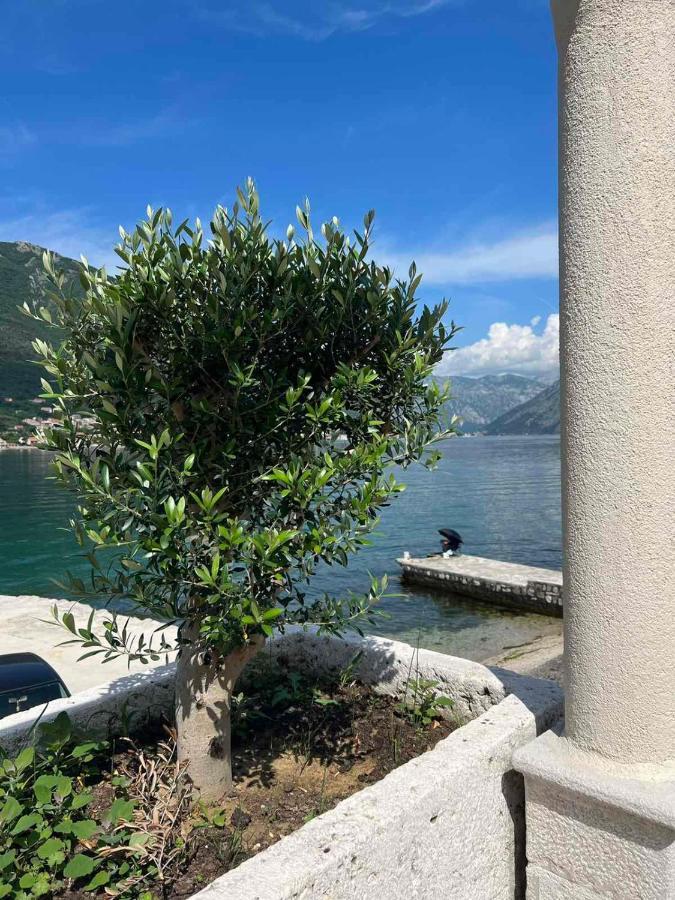 Sea Front 171 Apartment Котор Екстериор снимка